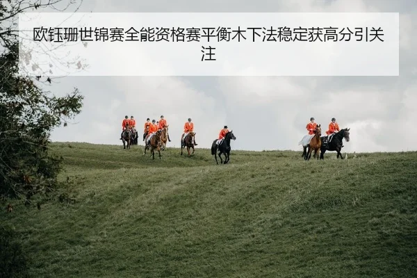 ou-yu-shan-shi-jin-sai-quan-neng-zi-ge-sai-ping-heng-mu-xia-fa-wen-ding-huo-gao-fen-yin-guan-zhu-2-458.jpg